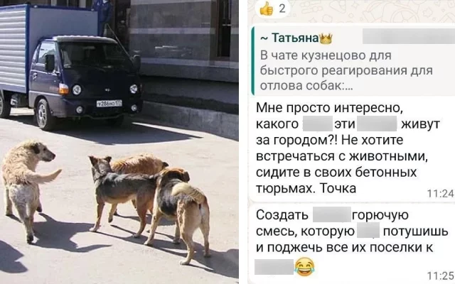 Зоозащитников решили проверить после сообщений в их чате.