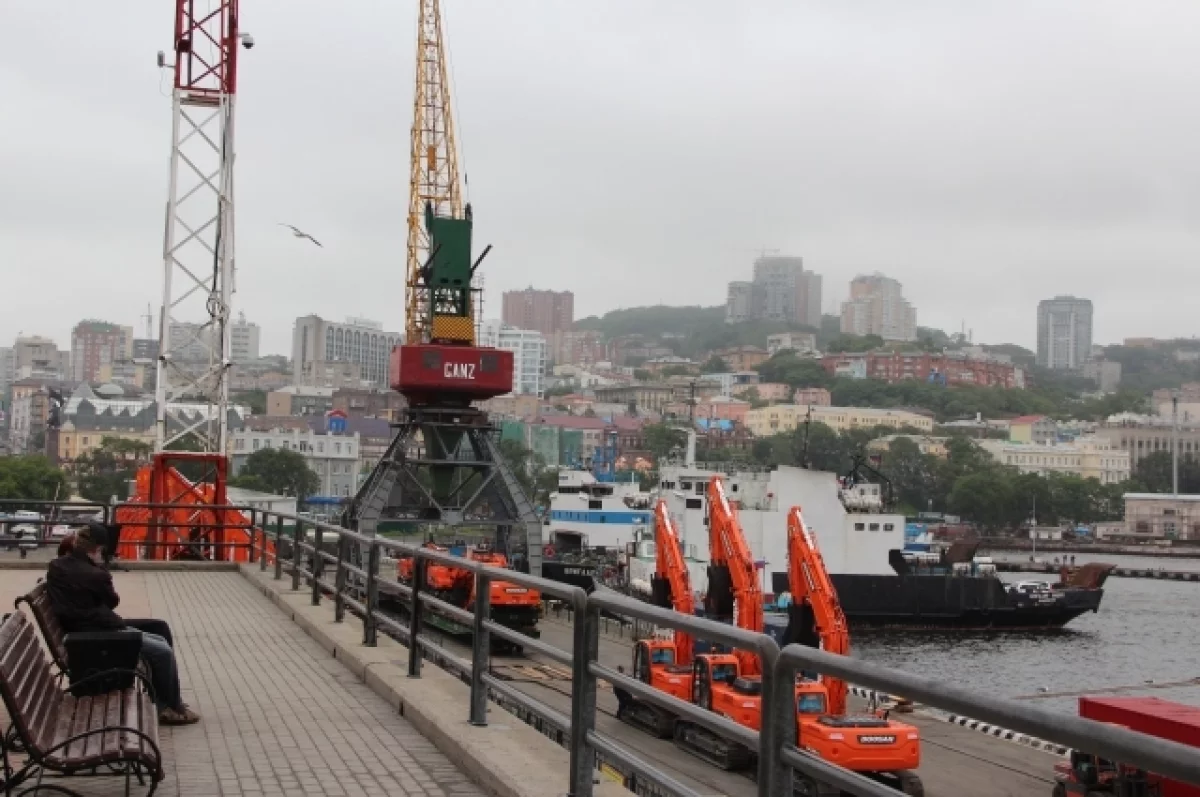 Суд изъял имущество у экс-мэра Владивостока Николаева на более чем ₽1 млрд