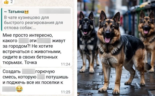 Такие сообщения из чата всплыли в интернете.