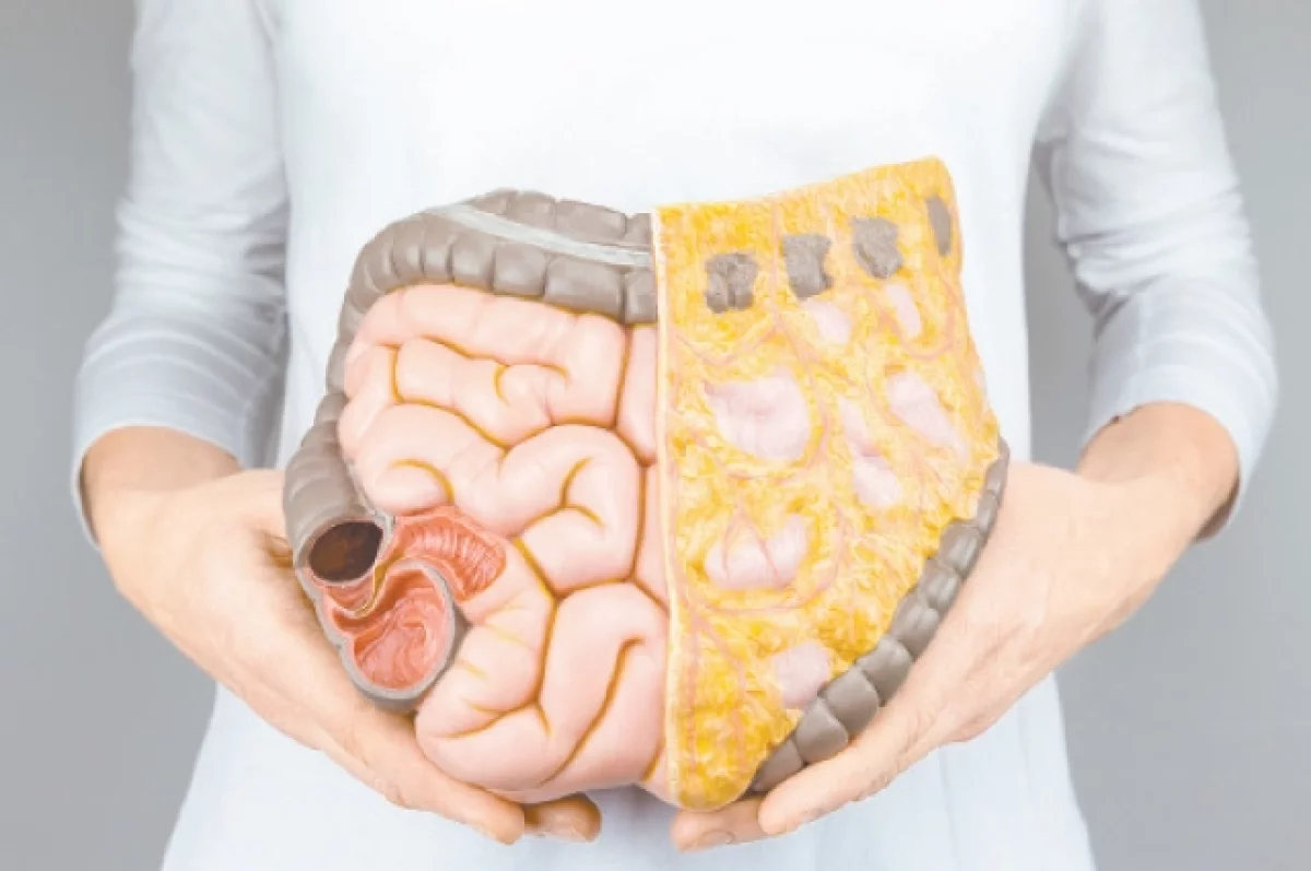 Защитники «тыла». Проктолог Гарманова: 5 правил, которые спасут вам жизнь
Защитники «тыла». Проктолог Гарманова: 5 правил, которые спасут вам жизнь