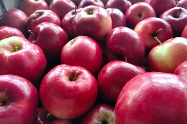 Как вырастить самые лучшие яблоки у себя в саду и как выбрать самые полезные плоды в магазине. 