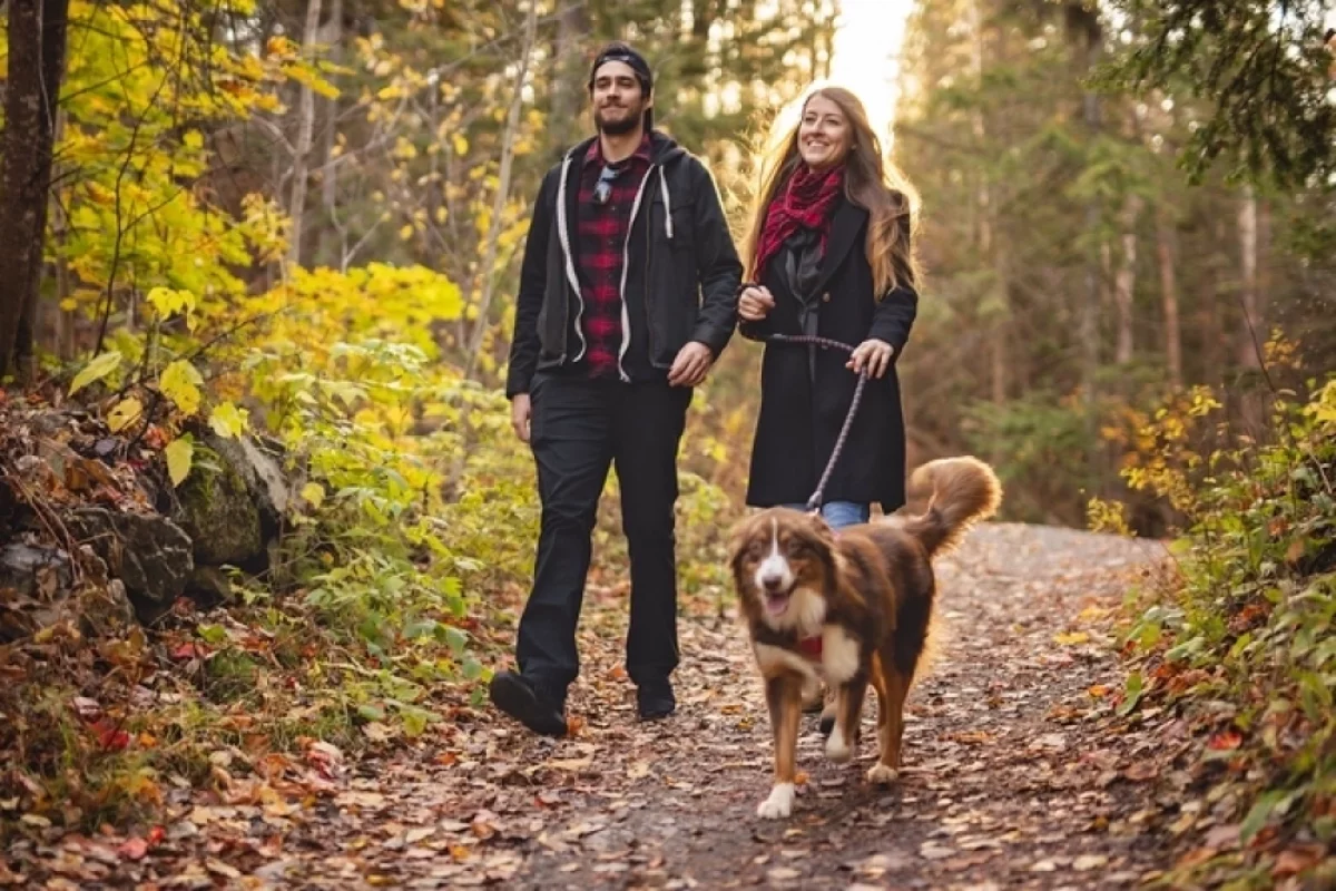 Быстрее и дольше. Врач Шишонин объяснил, зачем ходить минимум 30 минут
Быстрее и дольше. Врач Шишонин объяснил, зачем ходить минимум 30 минут