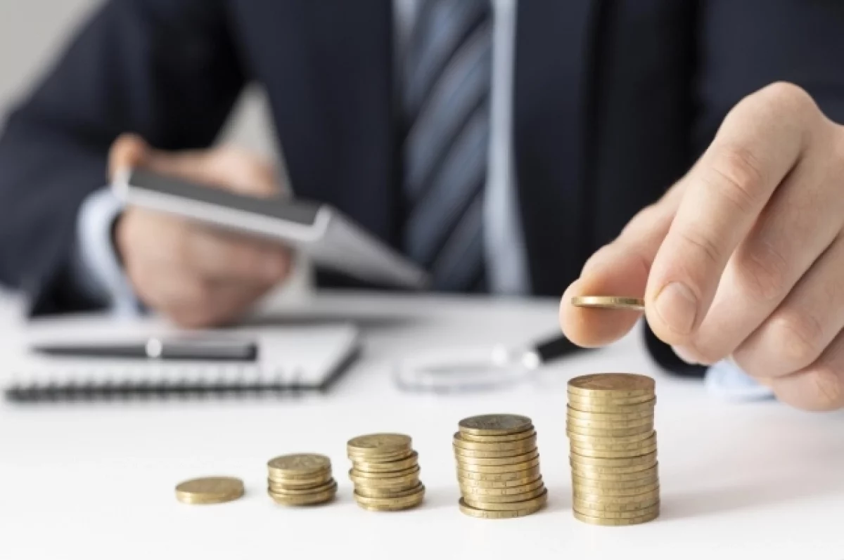 Публичные слушания по проекту бюджета Карелии проведут 11 ноября