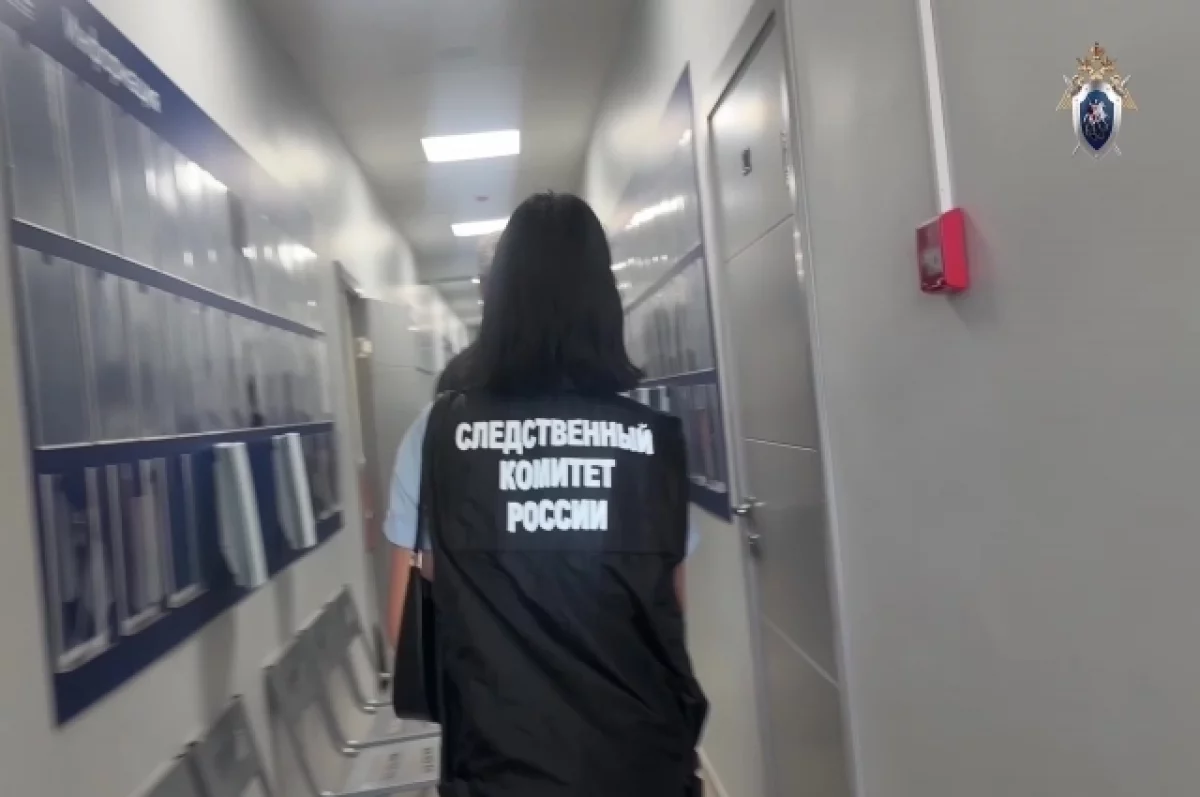 Следственный комитет РФ расследует травму ребенка в новосибирском ТЦ