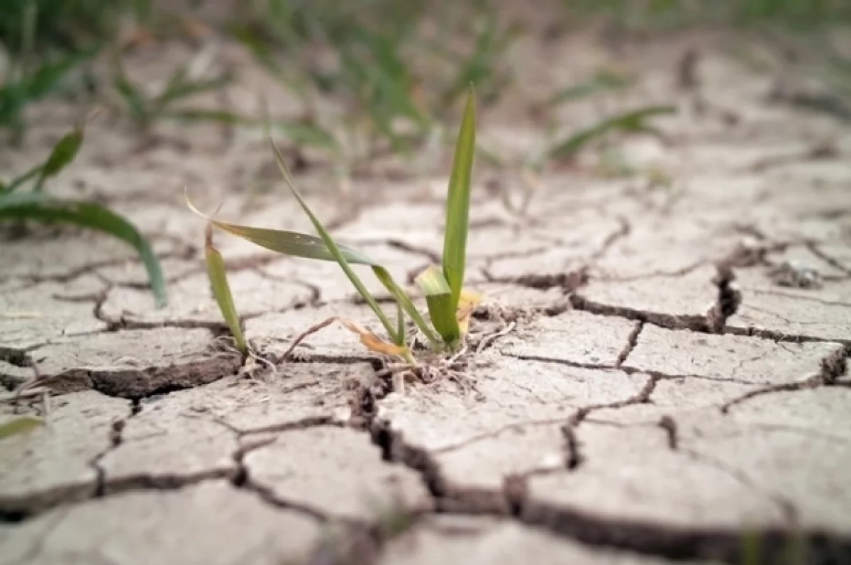 ВМО: последние 11 лет стали наиболее жаркими за всю историю наблюдений