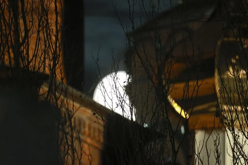 Бобровая Луна - 2025.