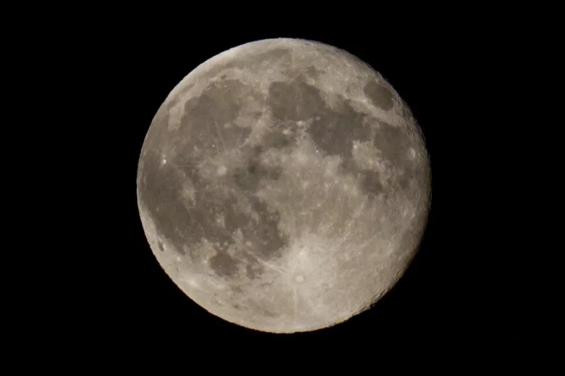 Бобровая Луна - 2025.