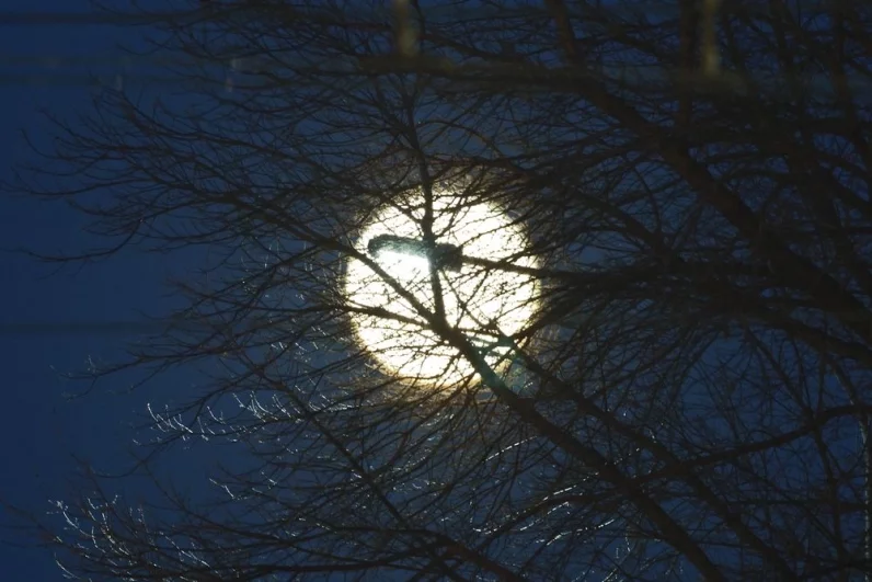 Бобровое полнолуние – знак, что природа замирает в ожидании зимы.