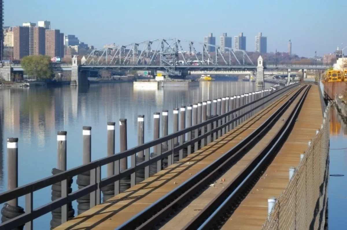 Мэр Нью-Йорка победил крыс с помощью мусорных баков — и отсылки к «Звёздным войнам»