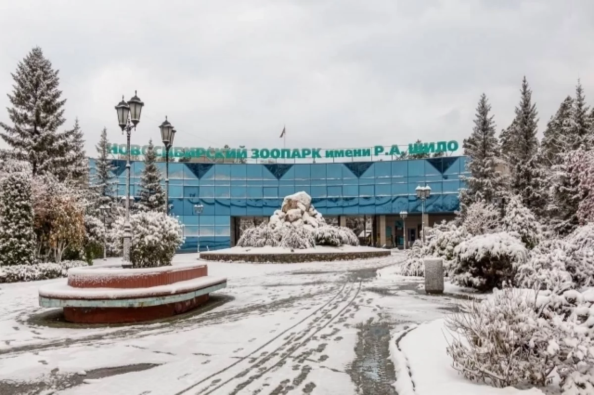 Новосибирский зоопарк имени Р. А. Шило, участвующий в международном обмене животными