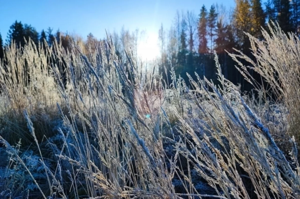 Синоптик Шувалов спрогнозировал первые заморозки в Москве 13 ноября
