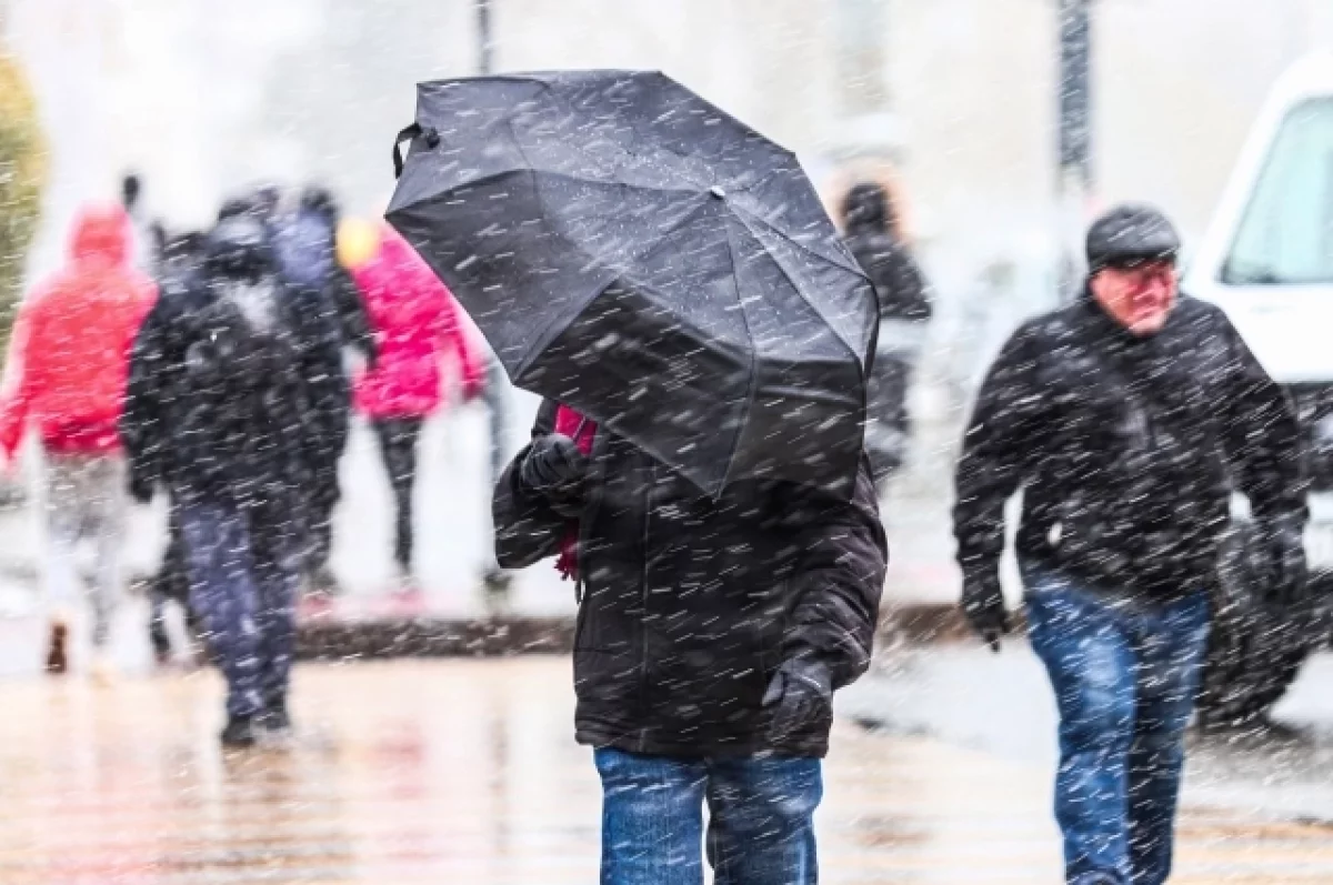 Снежная буря в Новосибирске перед оттепелью и дождем