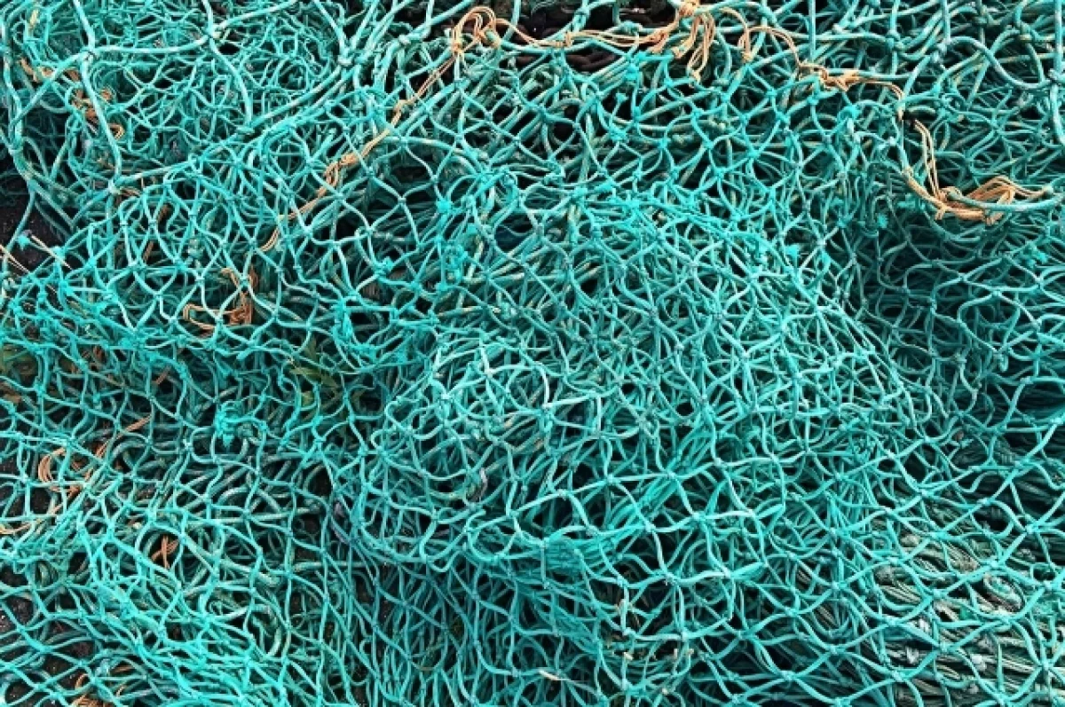 Франция отправила Украине старые рыболовные сети — киевляне недовольны