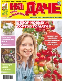 Огурцы на подоконнике