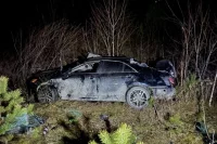 Пострадавшим госпитализация не потребовалась.