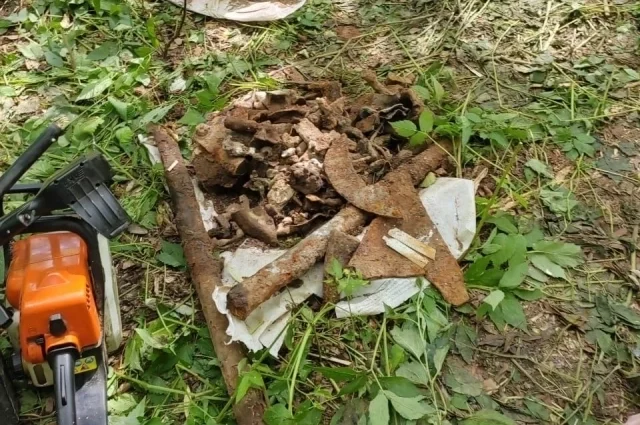 Носит иллюстративный характер