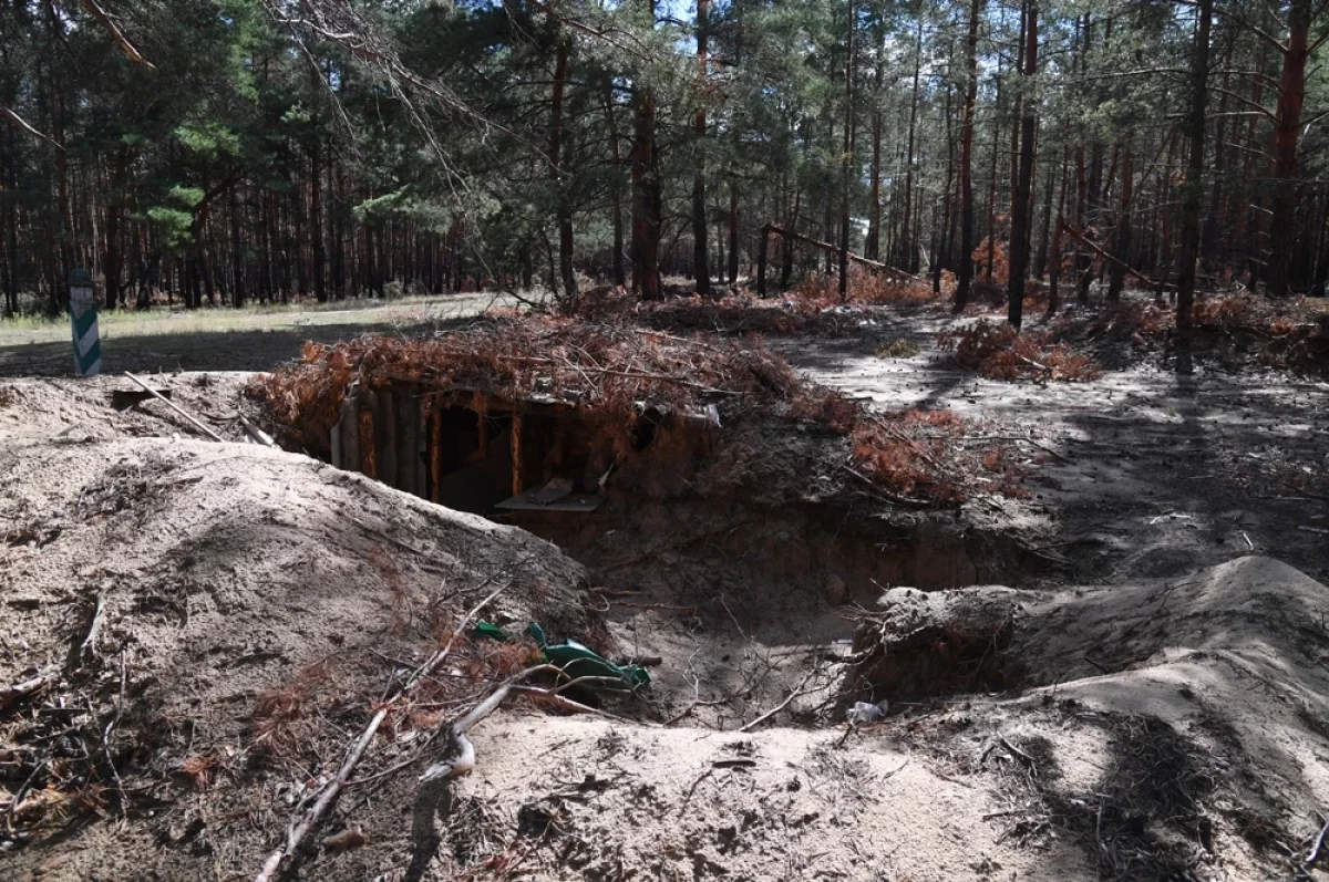 Новости СВО, 11 ноября. Солдаты ВСУ начали заживо гнить в окопах