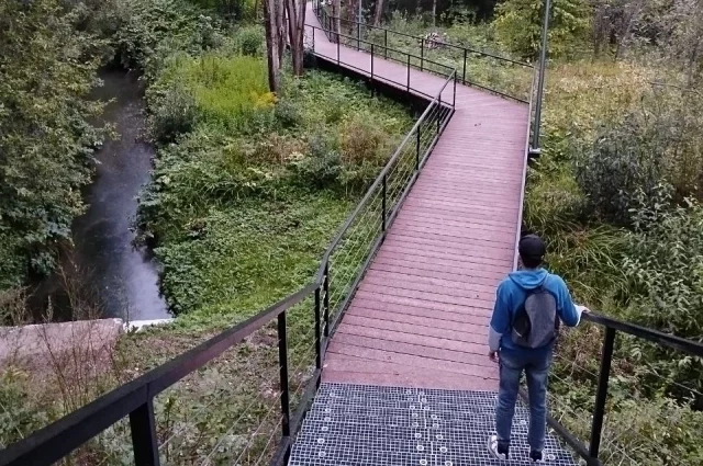 К юбилею города в Перми запустили масштабный проект «Зелёное  кольцо», направленный на сохранение долин малых рек