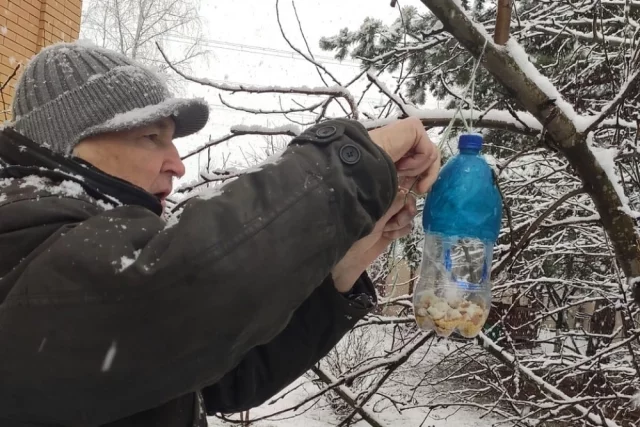 Современный Синичкин день — это прежде всего праздник экологии, который был официально установлен по инициативе Союза охраны птиц России.