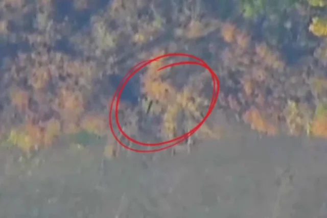 Потери ВСУ — 236 солдат и офицеров и 27 единиц различного вооружения.