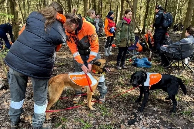 Добровольцы поисково-спасательного отряда ищут пропавших людей по-разному: одни ходят по лесу, другие – звонят в больницы и оперативные службы, третьи – составляют карты и поддерживают связь.