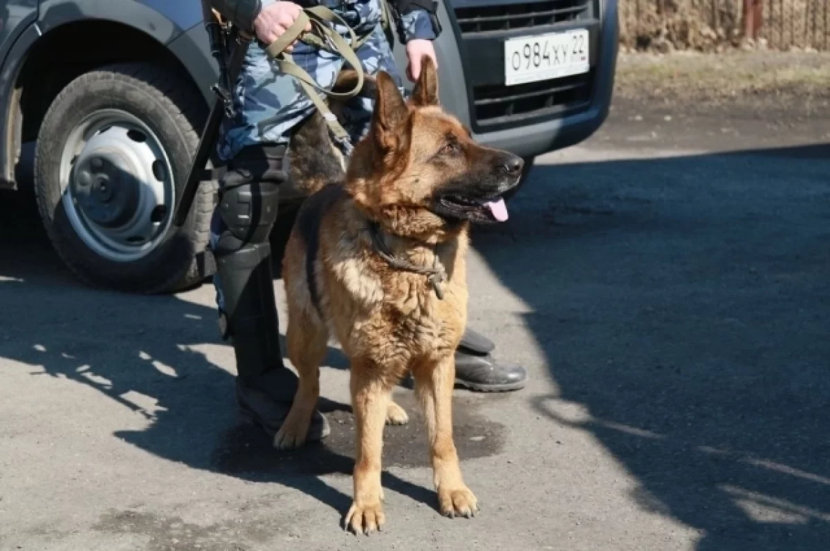 В Алтайском крае пройдут масштабные антитеррористические учения
