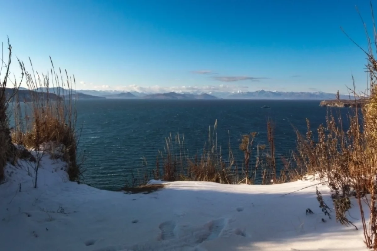 На Камчатке продолжаются работы по стабилизации экосистемы Авачинской бухты