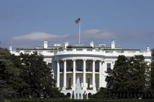 Левитт: американские демократы превращаются в коммунистов