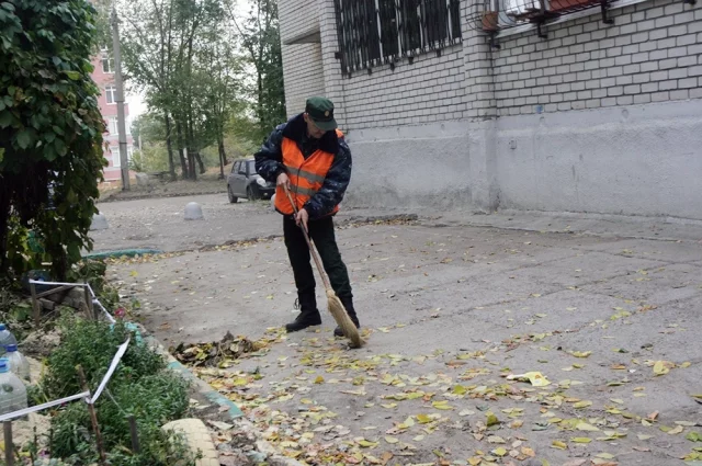 Многих волгоградцев волнуют вопросы уборки дворов и придомовых территорий, дворников не хватает.