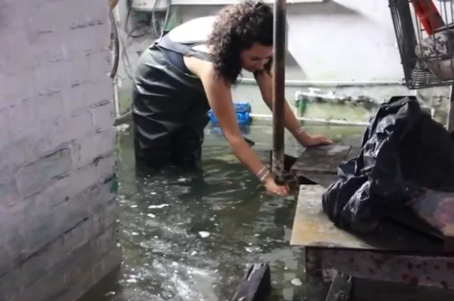 Вот так выглядит подпол Любови Голубович с августа