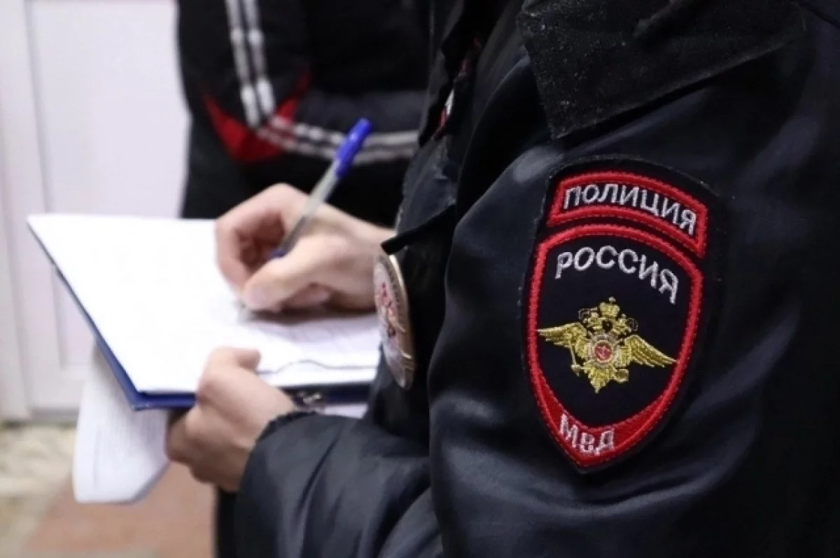 На Камчатке полицейские установили поджигательницу чужого автомобиля