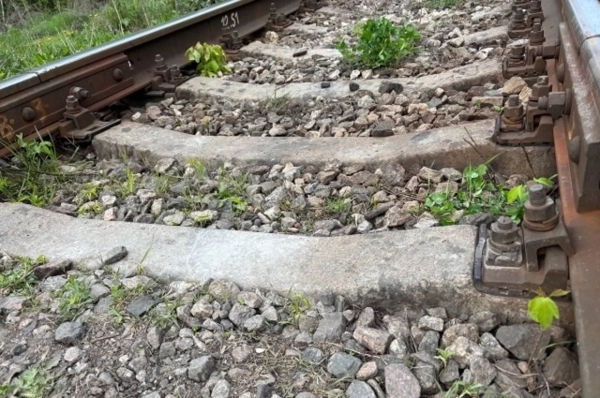 Двенадцать поездов, следующих в Крым и обратно, задерживаются в пути