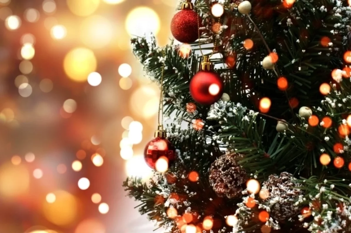 На главной площади Рязани появилась главная новогодняя красавица