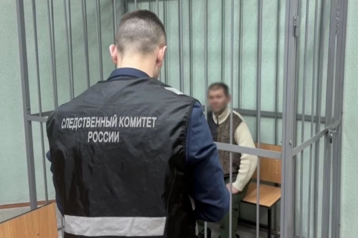 Обвиняемого в убийстве брянца заключили под стражу