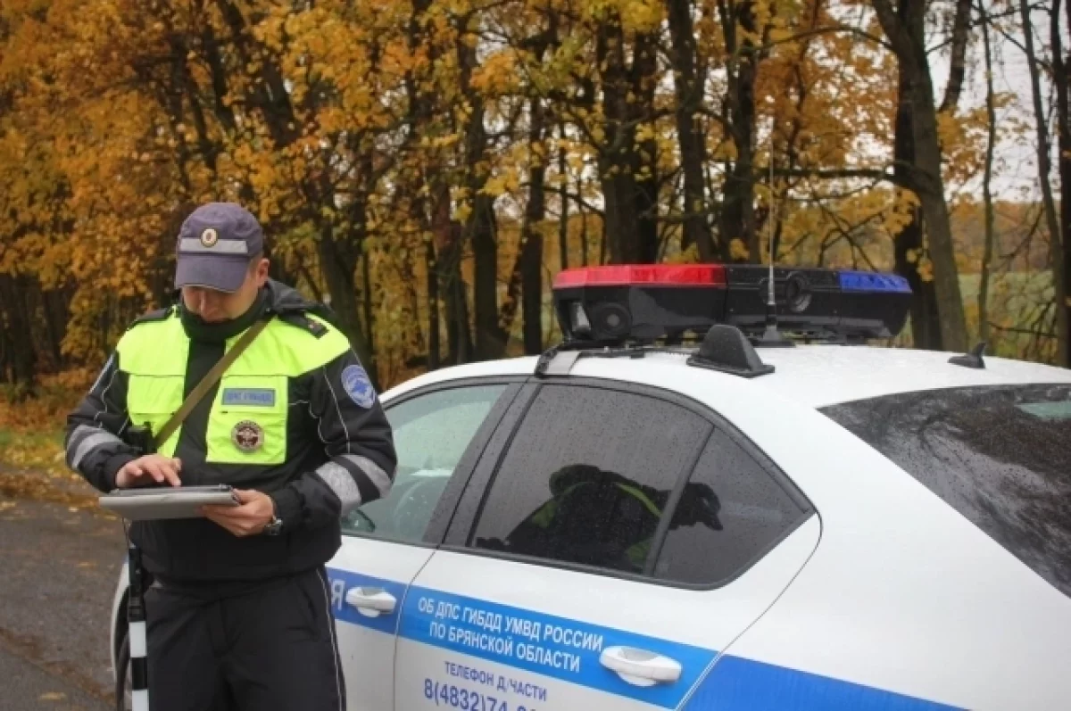 На дороги Брянской области вышли Кибер-шерифы