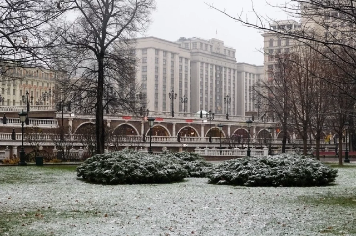 Синоптик Ильин: выпавший в Москве первый снег растает через три дня