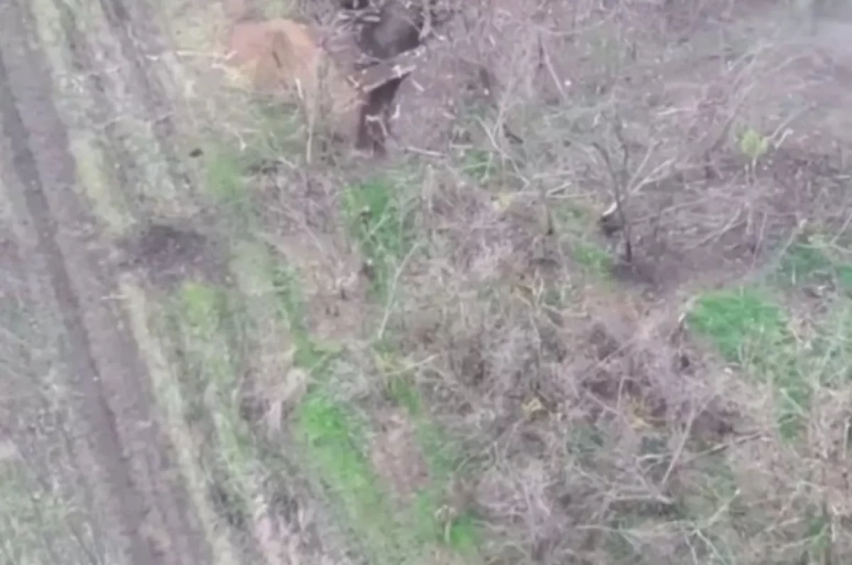 Бегство боевиков ВСУ с позиций под Красноармейском сняли с дрона