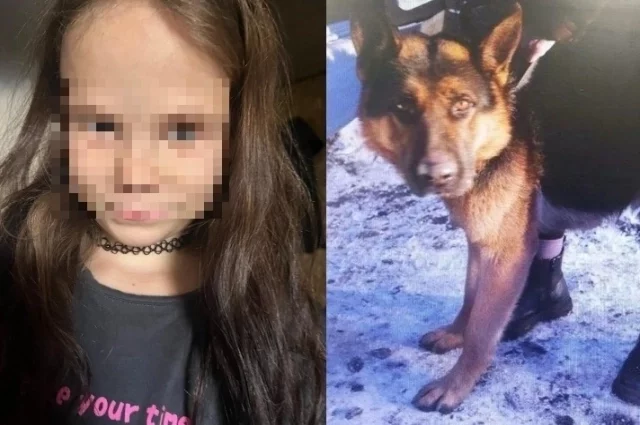 Пострадавшая 7-летняя девочка и собака, которая на нее напала в Черногорске