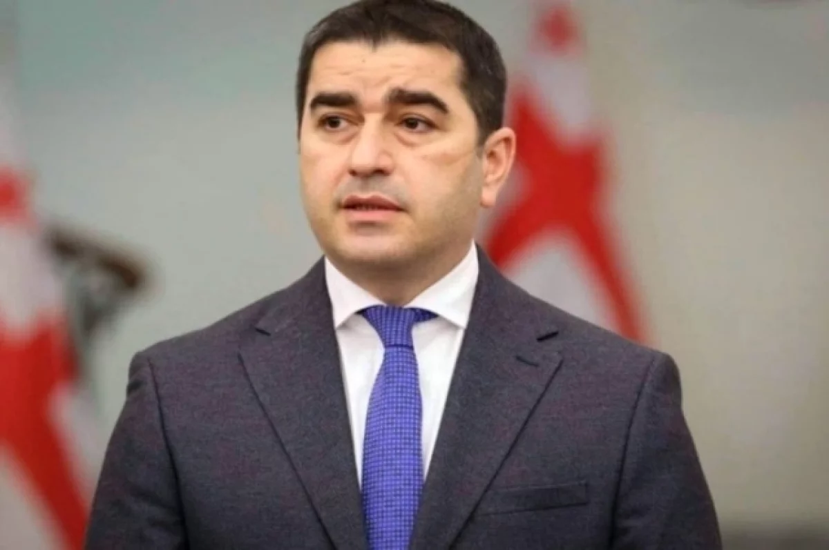 Гражданам Грузии могут запретить голосовать за пределами страны