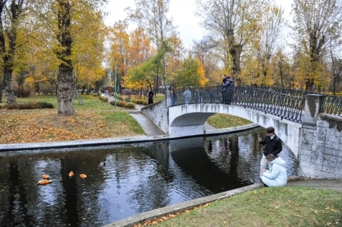 Резкие перепады температур и ветер до 17 м/с: погода в Москве и Подмосковье на этой неделе
