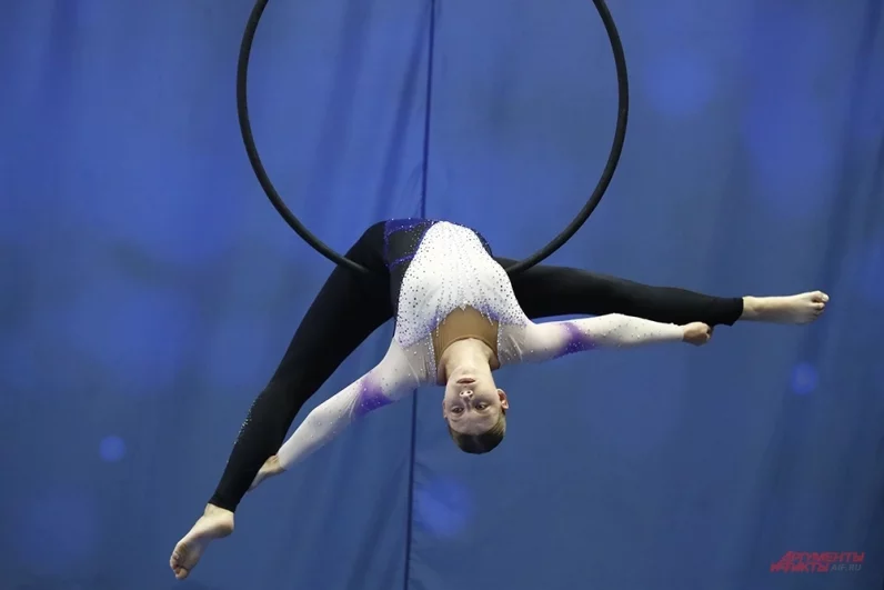 Выступления происходят на высоте под 6 метров.