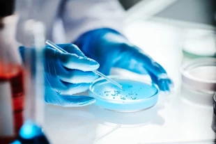 Какая инфекция может попасть в рану и насколько это опасно?