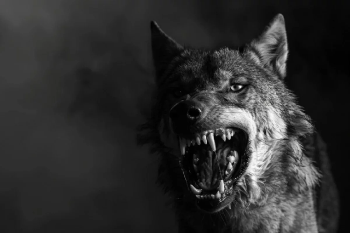 Больше 30 тысяч рублей заплатит хозяин собаки за нападение на ребенка