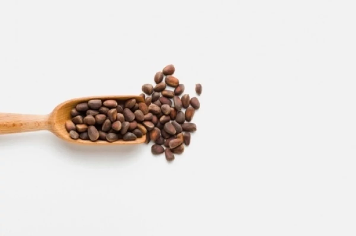 Житель Алтая заплатит за незаконный сбор шишек в лесу