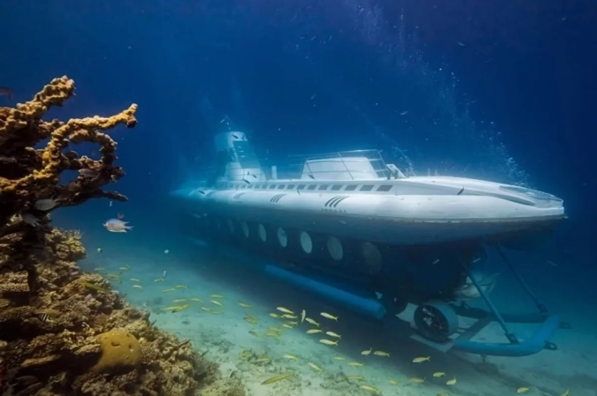 Защита капитана затонувшего в Египте батискафа попросила создать комиссию