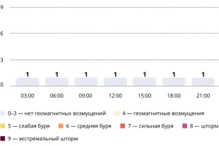 Прогноз магнитных бурь по часам на 20 ноября 2025 года. Инфографика