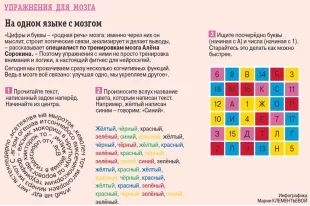 Как развить когнитивные способности мозга?
