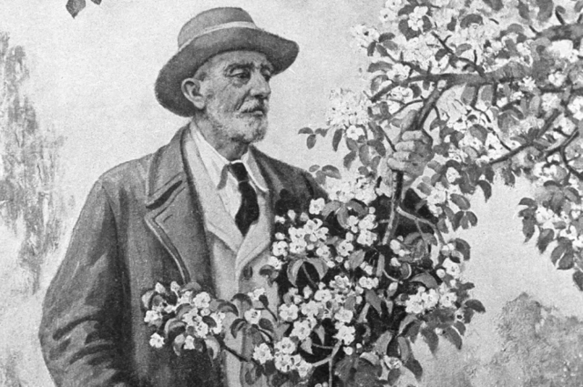 Переиначить на свой сад. Труды Мичурина ценили за океаном выше, чем в России