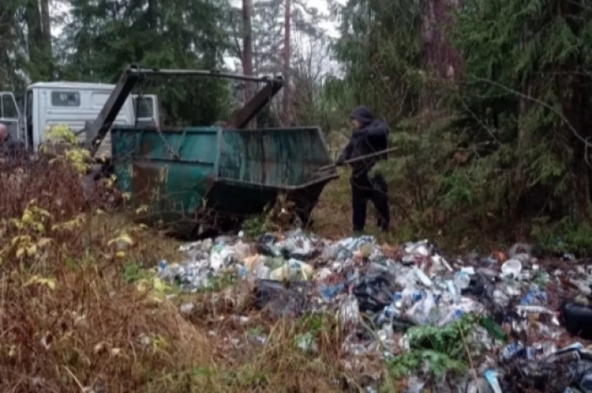 В заказнике Тверской области обнаружили несколько мусорных свалок