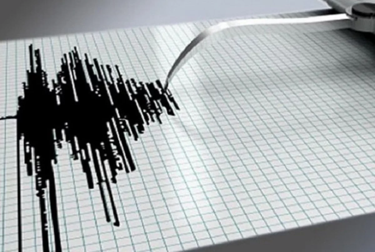 Десять афтершоков за сутки зафиксировали у берегов Камчатки